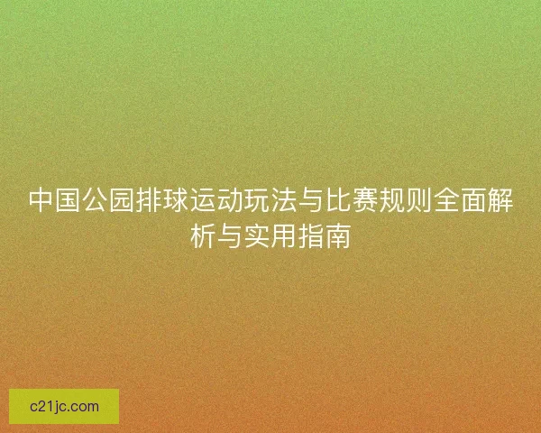 中国公园排球运动玩法与比赛规则全面解析与实用指南 中国公园排球运动玩法与比赛规则全面解析与实用指南